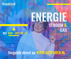 Advertenties besparen schiedammer